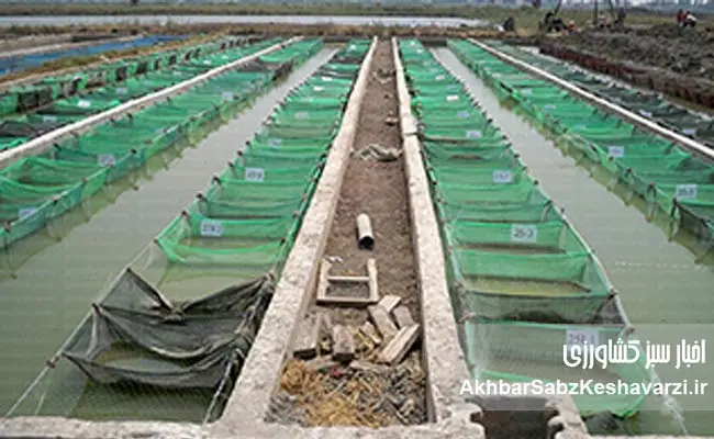 صنعت-شیلات-ایران-1