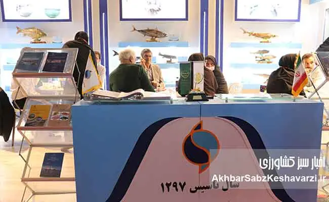 نسل-ششم-پرورشی-ماهی-آزاد-دریای-کاسپین--4