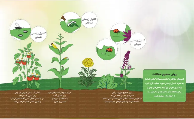 راهکار کاهش مصرف آفتکش (2)