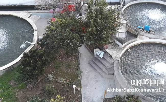 تحول-خاموش-شیلات-در-دل-گلستان-2