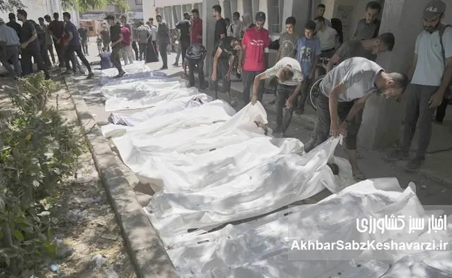 Gaza-and-the-Tragedy-of-a-Single-Meal