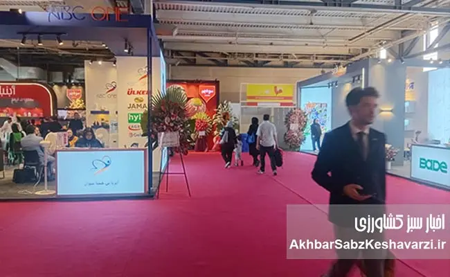 گزارش-تصویری-نمایشگاه-شیرینی-و شکلات-4
