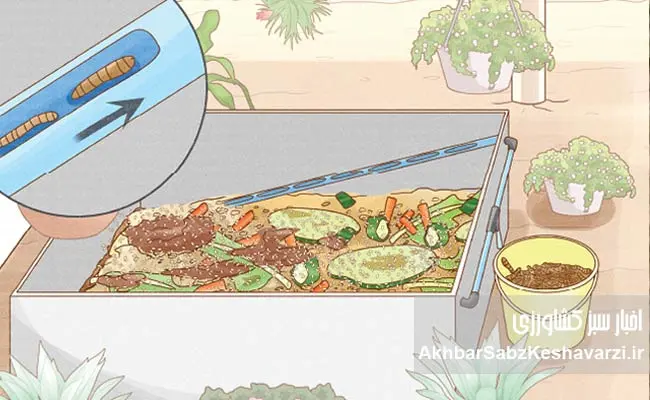 نجات-مرغداری-از-بحران-نهاده؟-لارو-مگس-سرباز-وارد-جیره-شد-2