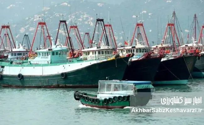 از-اسبک-دریایی-خلیج-فارس-تا-رقابت-پنهان-با-غول‌های-شیلاتی-آسیا-1