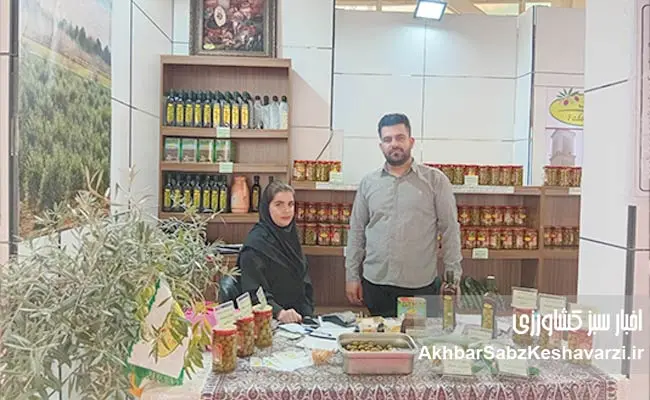 شرکت-کشت-و-صنعت-زیتون-فدک-سراج