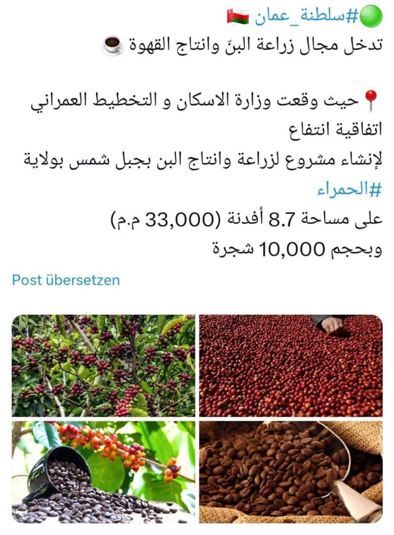 کاشت 10 هزار درخت قهوه در جنوب عمان