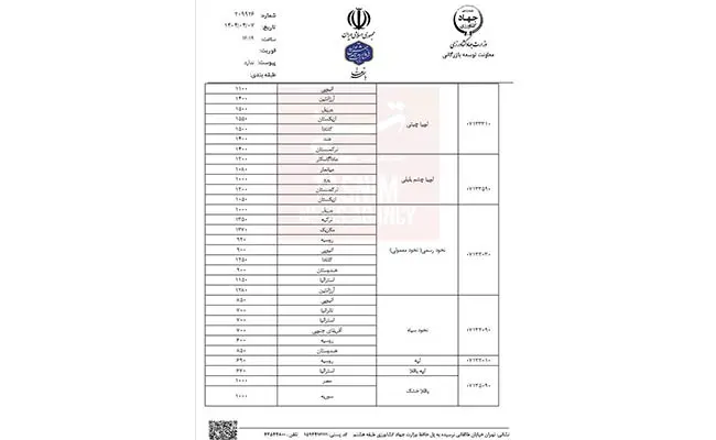 فاجعه-گرانی-لوبیا2