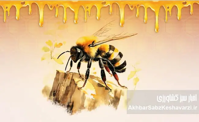 حقایقی-درباره-زنبوران-عسل-3