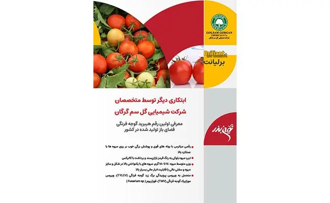 شرکت-گل-سم-گرگان9