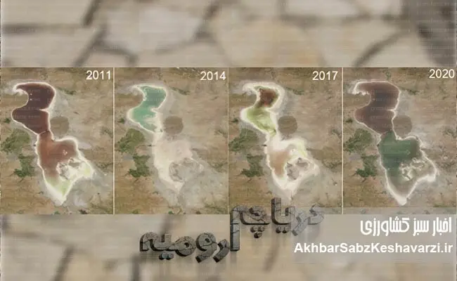 چه-کسانی-دریاچه-ارومیه-را-خشکاندند؟-4