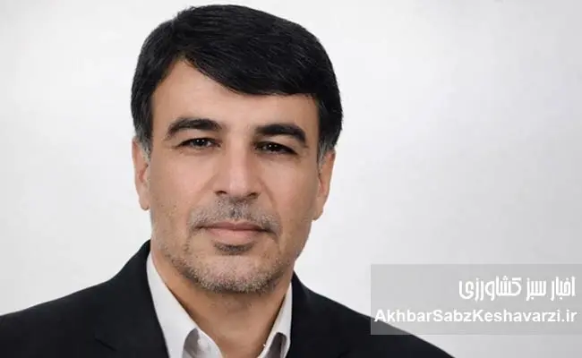 قیمت-تضمینی-گندم-با-هزینه-تولید-هم‌خوانی-ندارد1.jpg-1