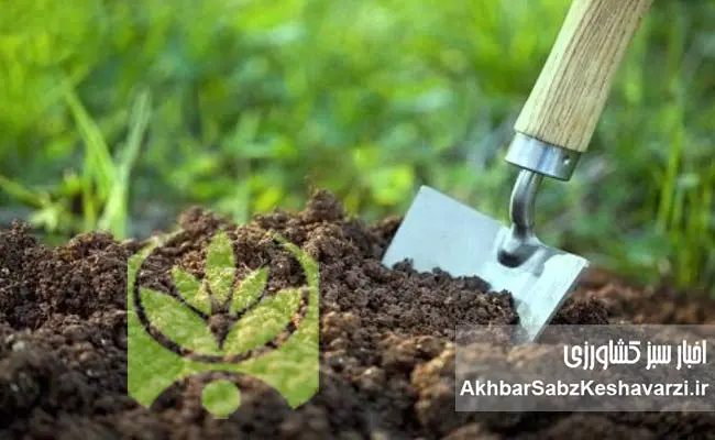 چالش‌های-تولید-کودهای-پایه-در-ایران
