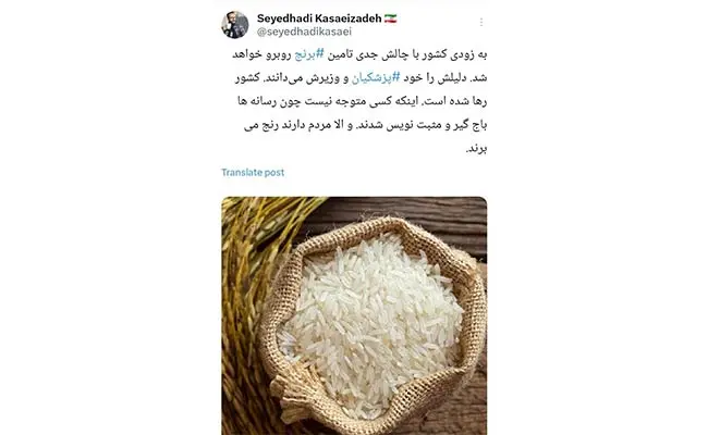 کسایی-زاده-تامین-برنج
