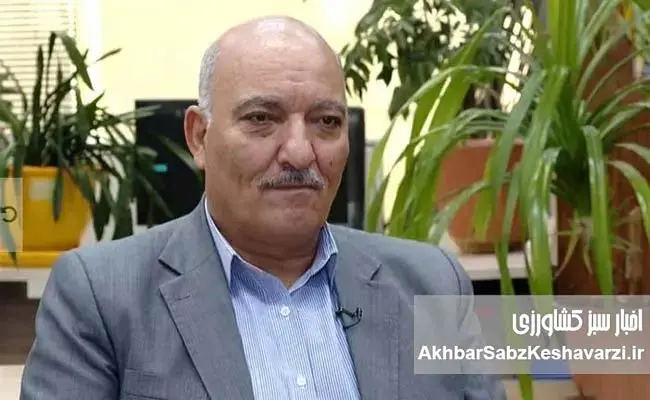 چرا-سیاست-فعلی،-انگیزه-گندمکاران-را-تضعیف-و-امنیت-غذایی-را-تهدید-می‌کند؟.jpg-2