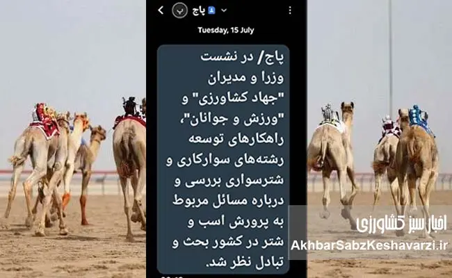 شترسواری-وزیر-جهاد-کشاورزی