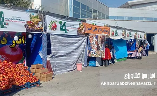 چهاردهمین-نمایشگاه-ارگانیک-تهران-8