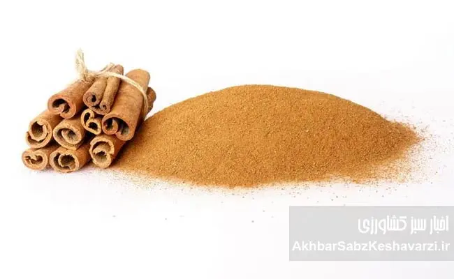 تنظیم-قند-خون-با-دارچین1