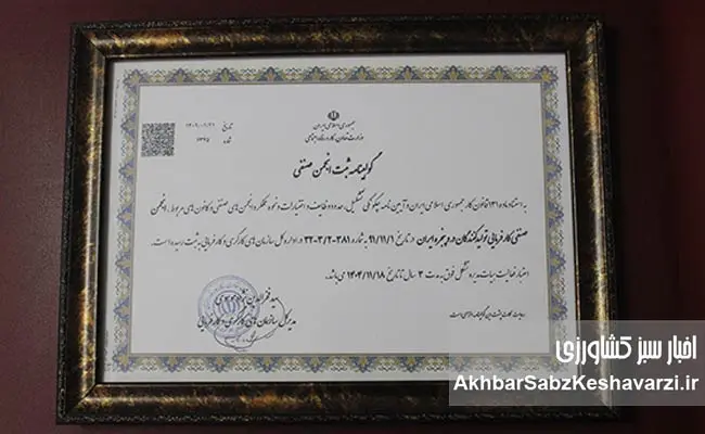 استانداردسازی-در-و-پنجره،-راهی-ارزان‌تر-از-هزینه-پرت-انرژی.jpg-1