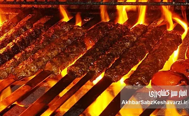 جشنواره-کباب-بناب--2