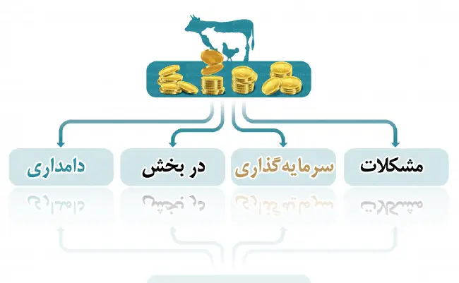 مشکلات سرمایه‌گذاری در بخش دامداری (1)