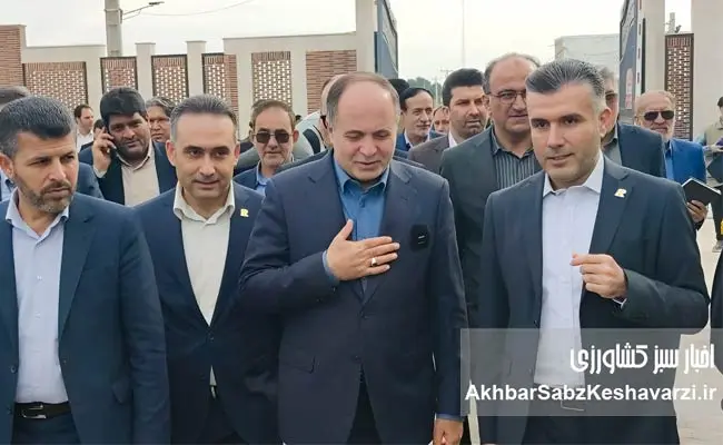 هلدینگ-رحمت-تجارت