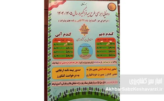 دکتر-باباخانی-طرح-بیمه-فراگیر-گندم-وارد-مرحله-اجرای-۱۴۰۵-شد.jpg-2