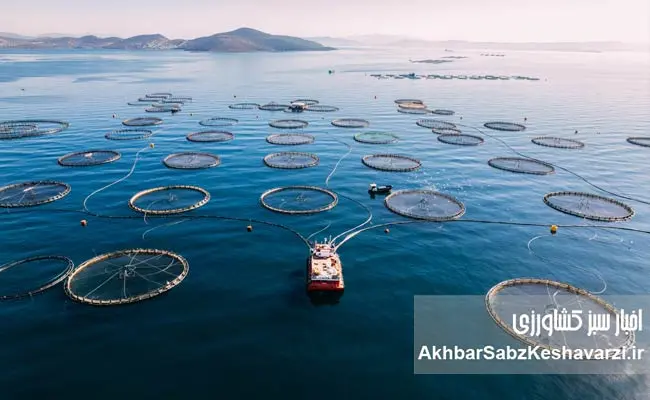 شیلات-یک-ابزار-امنیتی،-اجتماعی-و-اقتصادی.jpg-1