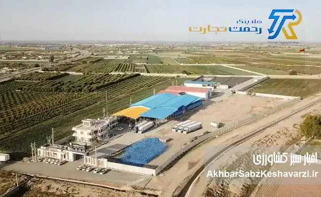 هلدینگ-رحمت-تجارت.jpg-1.jpg-3