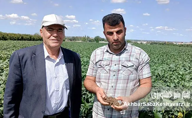بازدید-کشاورز-پیشرو-لرستان-از-مزرعه-کشت-حفاظتی-سویای-برادران-کشیری--1