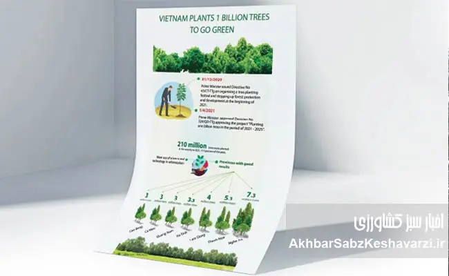 کاشت-درخت-ویتنام-2