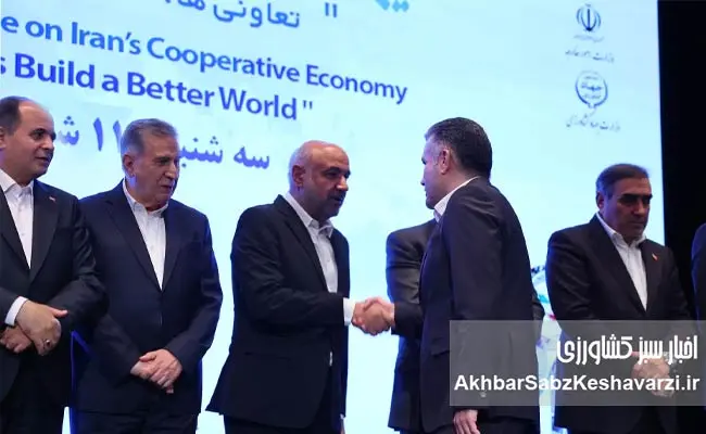 هلدینگ-رحمت-تجارت.jpg-1