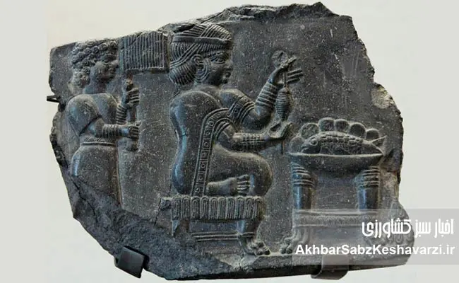 زنانی-که-ایران-را-از-دل-بحران‌ها-نجات-دادند-1