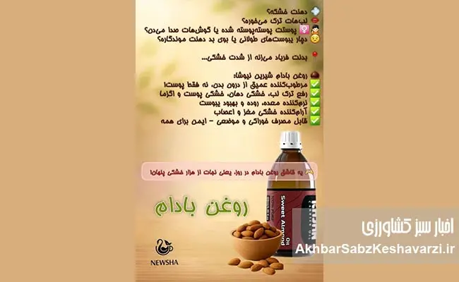 روغن-بادام-کلید-رهایی-از-خشکی‌های-آزاردهنده