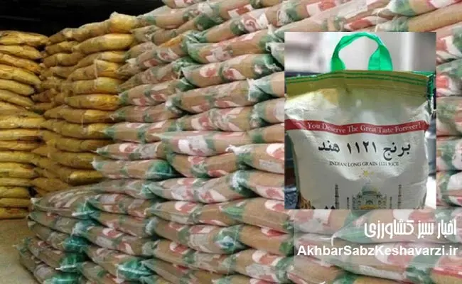 فساد-برنج-۱۱۲۱