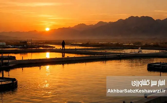 خاویار-در-دل-کویر؛-سیستان-و-بلوچستان-پایتخت-جدید-خاویار-ایران1.jpg-2