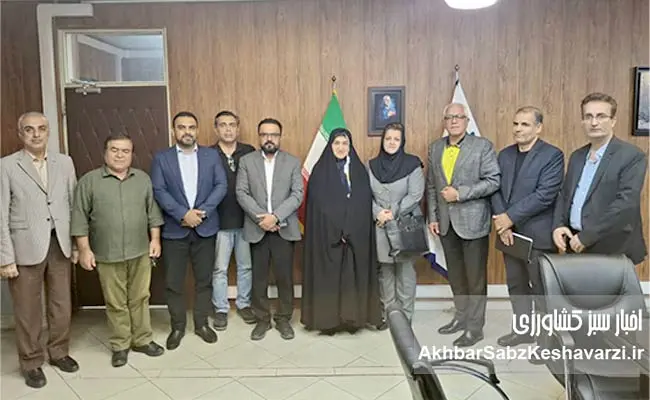 سقوط-واردات-شکر-7