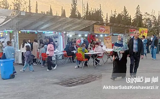 جشنواره-انار؛-تلفیقی-از-فرهنگ-و-اقتصاد-ایران-2