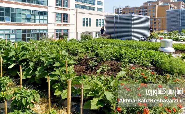 کشاورزی-شهری-1