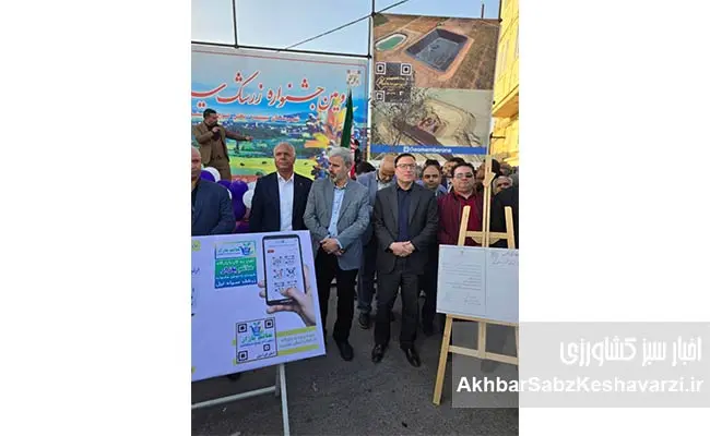 روستای-تیل؛-نگین-درخشان-کشاورزی-ایران-و-میزبان-جشنواره-ملی-زرشک-سیاه-3