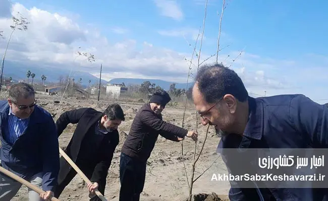 پیام-نوروزی-شهردار-نوشهر؛-گزارش-شش‌ماهه-و-چشم‌انداز-توسعه-شهری-1