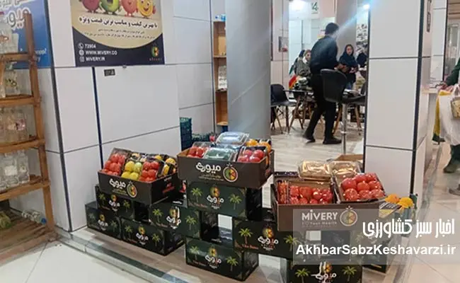 چهاردهمین-نمایشگاه-ارگانیک-تهران-3