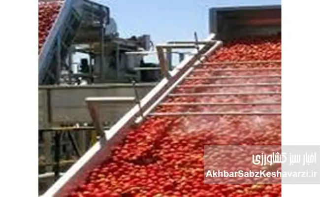 رب-گوجه-فرنگی-و-اثرات-آن-بر-سلامتی-تغذیه.jpg-1