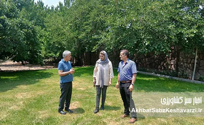 نقش-شگفت‌انگیز-زنان-در-کشاورزی-و-باغداری-ایران2