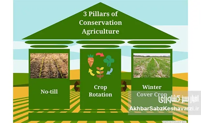 چرا-خاک-را-شخم-نزنیم؟-6