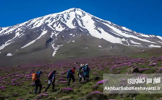 تب-صعود-به-دماوند.jpg-2.jpg-3