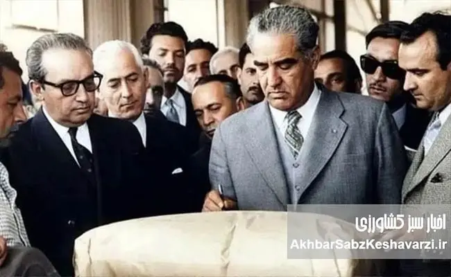 دولت-های-مستعجل-ایران-و-موج-اصلاحات-ارضی-در-خاورمیانه.jpg-1