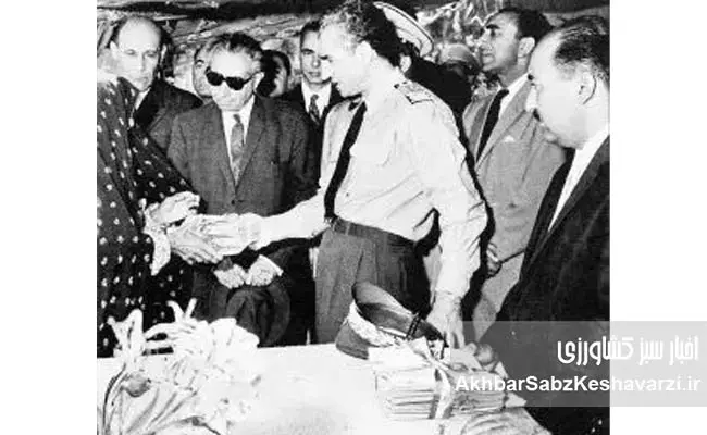 ظهور-ارسنجانی-و-طلیعه-اصلاحات-ارضی-3