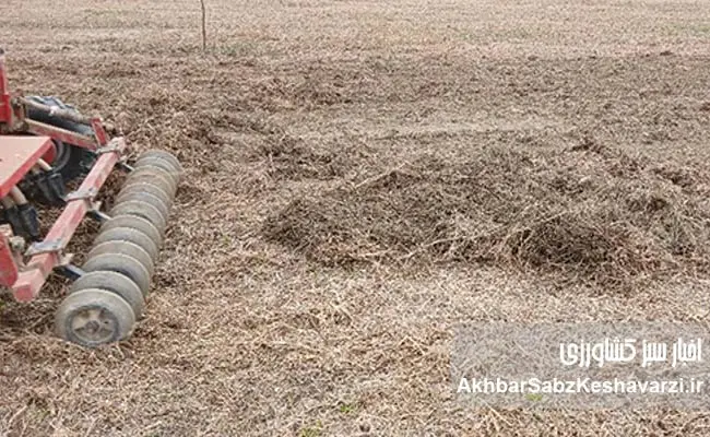 کشاورزی-حفاظتی-از-لحظه-برداشت-آغاز-می‌شود-3