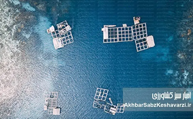 صنعت-شیلات-ایران-2