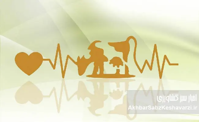 بی‌توجهی-به-اشتها-و-غذاخوردن-دام؛-عامل-پنهان-افت-تولید-شیر3